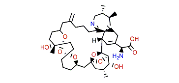 Pinnatoxin C